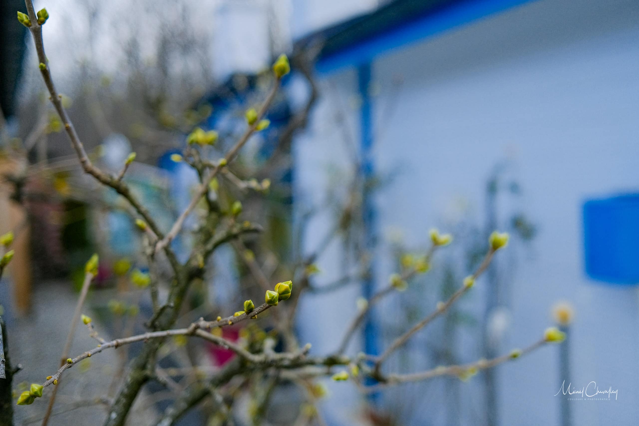 Le printemps pointe son nez