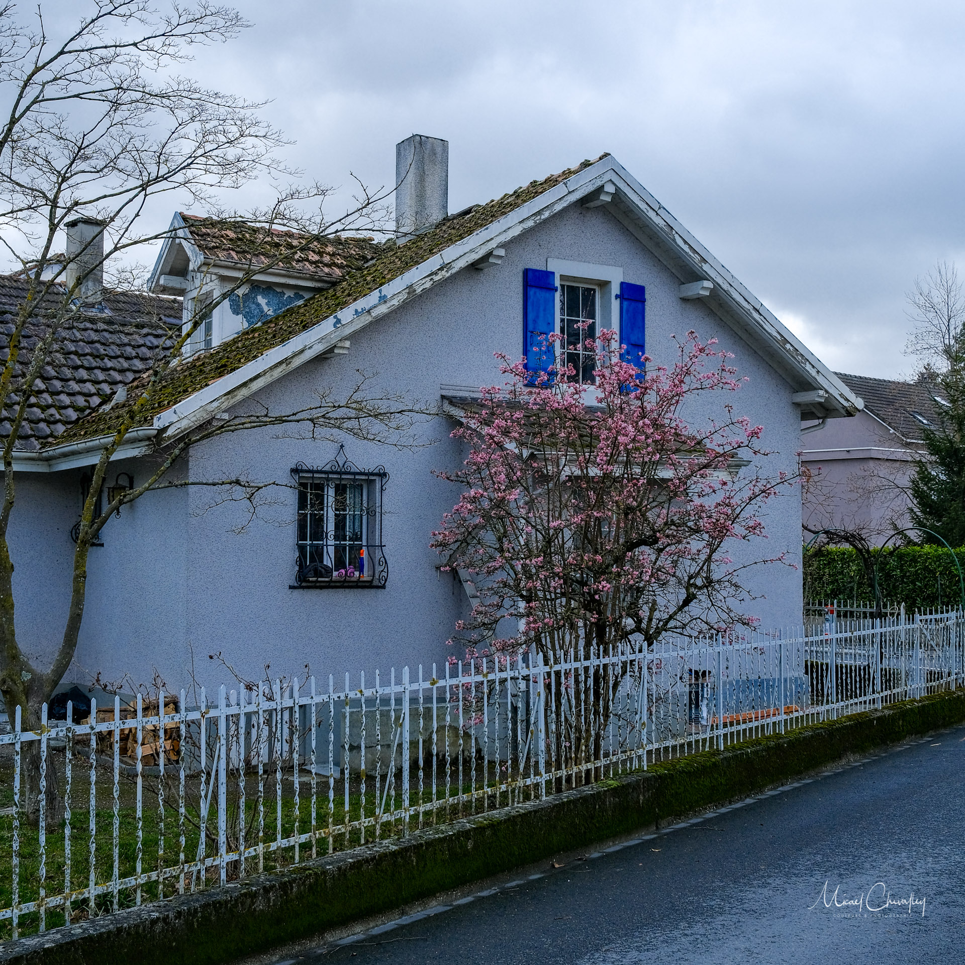 Le printemps pointe son nez