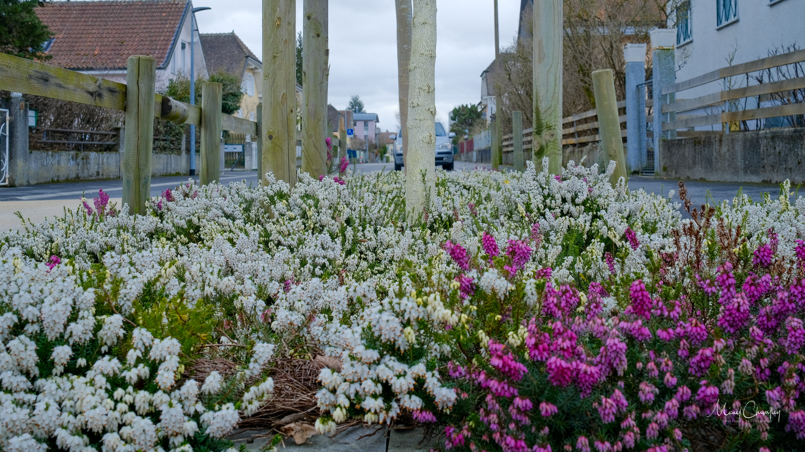 Le printemps serait-il déjà là ?