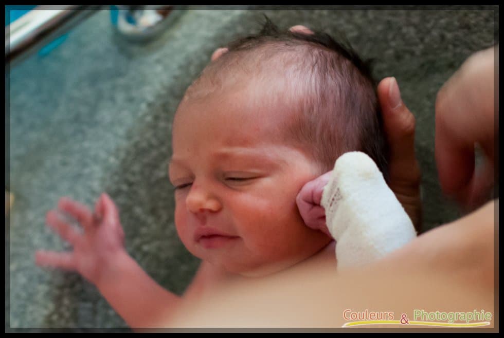 Thumbnail images/articles/papa