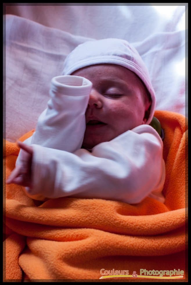 Thumbnail images/articles/papa